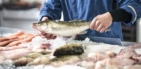 fisch kaufen in emden